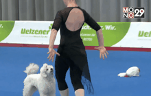 ประกวดสุนัขยอดนักเต้นที่เยอรมนี