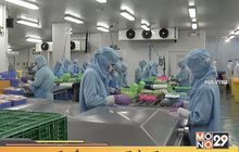 เตรียมฟื้นการเจรจาเอฟทีเอไทย-อียู
