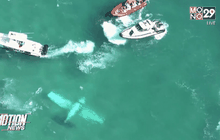 เครื่องบินเล็กตกนอกชายฝั่งสหรัฐฯ