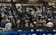 เมียนมาออกมาตรการช่วยเหลือแรงงาน