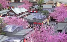 ซีคอนสแควร์ จัดงาน “A Moment In Kawagoe”