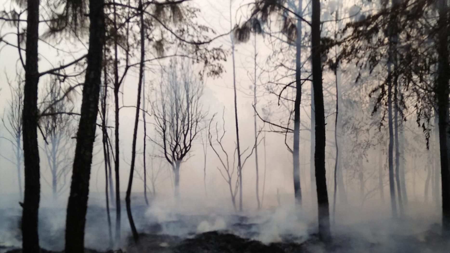 เผยความเสียหาย หลังเกิดเหตุไฟไหม้ป่า ‘ภูกระดึง’