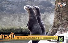 15 มิ.ย.เปิดเที่ยวสวนสัตว์ฟรี 6 แห่ง แต่ต้องจองล่วงหน้า