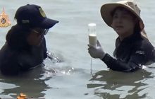 ห่วงพะยูน “มาเรียม” ดูดครีบจนเป็นแผล