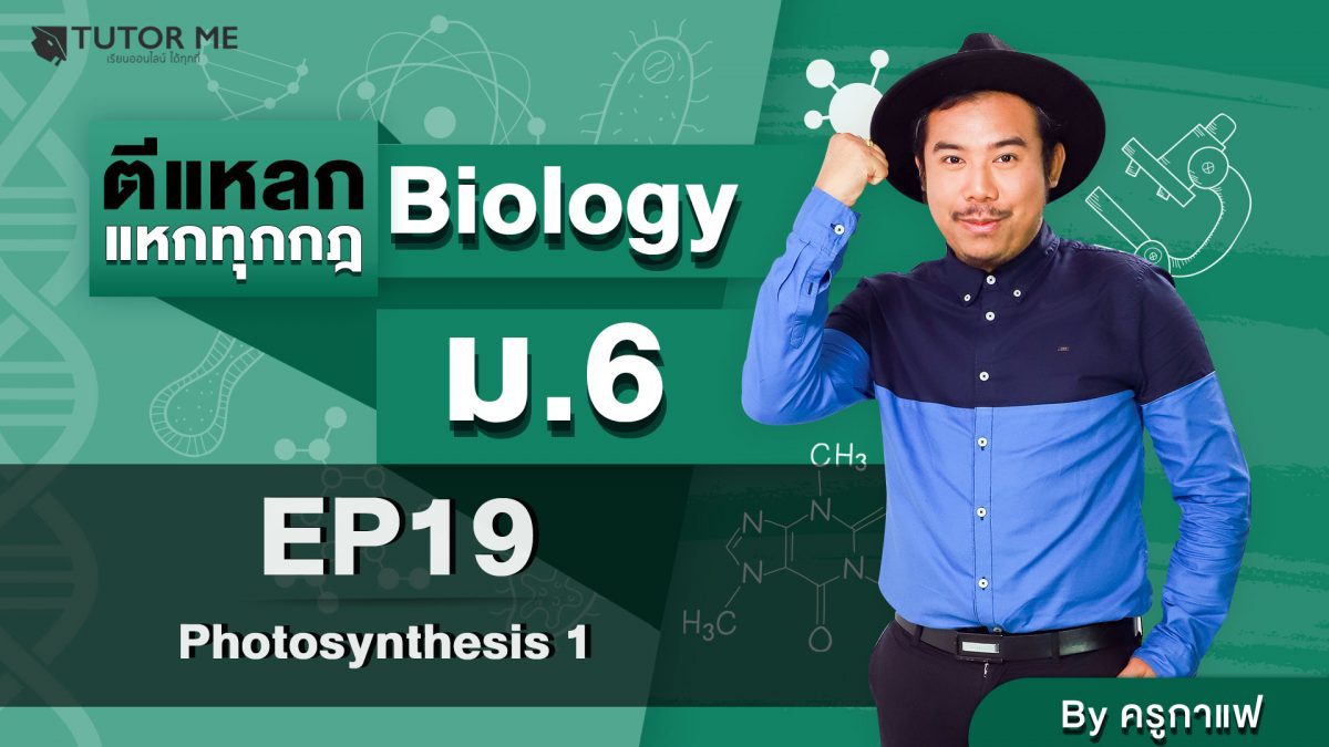 EP 19 Photosynthesis 1