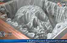 งานศิลปะสัญลักษณ์ดอลลาร์