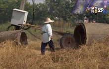 ชาวนาเร่งสูบน้ำ หลังแม่น้ำยมลดระดับรวดเร็ว