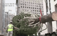 ต้นคริสต์มาสในนครนิวยอร์ก