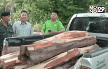 บุกจับขบวนการแปรรูปไม้พะยูง