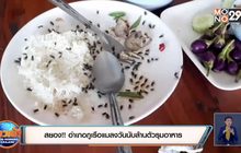 สยอง!! อำเภอภูเรือแมลงวันนับล้านตัวรุมอาหาร