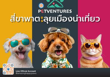 ททท. เปิดตัวโครงการ “Petventures สี่ขาพาตะลุยเมืองน่าเที่ยว” ชวน Pet Parent พามะหมาและแมวเหมียวเที่ยวไทยกันต่อ!!! ด้วยดีลเด็ด ๆ และโปรโมชั่นสุดพิเศษ ตลอดเดือนมีนาคม – เมษายน 2568