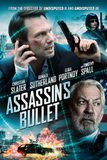 Assassin’s Bullet ล่าแผนเพชฌฆาตสังหาร
