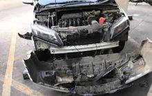 ฝูงสุนัขรุมแทะรถเก๋งเสียหาย