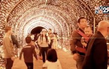 นักท่องเที่ยวแห่ชมความงดงาม“เทศกาลภูเขาไฟกระโดง”