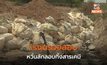ฉะเชิงเทราพบรถบรรทุกต้องสงสัย หวั่นลักลอบทิ้งนำสารเคมี เร่งตรวจสอบ
