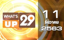 What’s Up 29 11-12-63