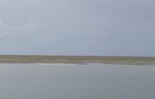 หญ้าทะเลเสียหายนับพันไร่ เกาะลิบง จ.ตรัง