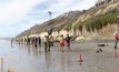หน้าผาชายหาดในแคลิฟอร์เนียพังถล่ม