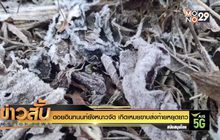ดอยอินทนนท์ยังหนาวจัด เกิดเหมยขาบส่งท้ายหยุดยาว
