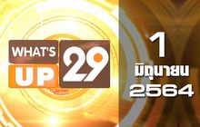 What’s up 29 01-06-64