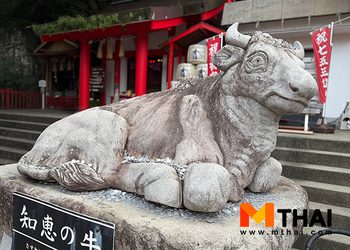 สายมู ญี่ปุ่น ต้องรู้ ! ทริกขอพรรูปปั้นวัว ขอพรสติปัญญา การสอบ และสุขภาพ