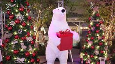 ไปถ่ายหมี ดูไฟ ที่เอ็มควอเทียร์ งาน Winter Wonderland 2019 ฉลองปีใหม่