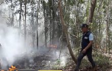 คุณภาพอากาศพื้นที่ไฟป่า จ.สงขลา อยู่ระดับปานกลาง