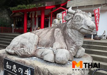 สายมู ญี่ปุ่น ต้องรู้ ! ทริกขอพรรูปปั้นวัว ขอพรสติปัญญา การสอบ และสุขภาพ