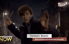 Fantastic Beasts ย้อนอดีตสานต่อจักรวาลเวทมนตร์