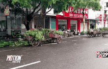 ไต้ฝุ่นมีรีแน เริ่มอ่อนกำลังลงหลังพัดถล่มจีน
