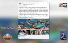 นักอนุรักษ์วอนเลิกกินปลานกแก้ว