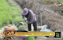 เอกชนเตรียมพร้อมแบน “พาราควอต-คลอร์ไพริฟอส”1 มิ.ย.