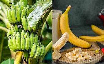 กล้วยสุก กับ กล้วยดิบ แบบไหนมีประโยชน์กว่ากัน?