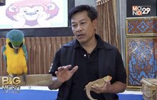 Big hero พลังคนดี ตอน นักกิจกรรมรักษ์สัตว์