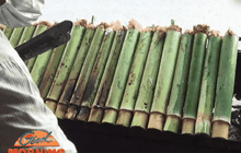 อากาศหนาวข้าวหลามป้าแน่น ขายดีวันละ 3,000 บาท