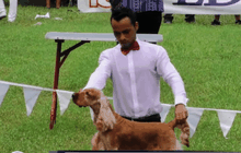 การประกวดสุนัขในคิวบา