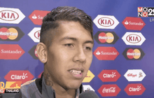 หงส์จิก “เฟอร์มิโน่” เข้ารังด้วยค่าตัว 29 ล้านปอนด์