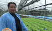 หนุ่มเชียงใหม่พลิกที่นาปลูกผักไฮโดรโพนิก สร้างรายได้งาม