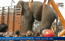 ช้างตกมันบุกอาละวาดในอินเดีย