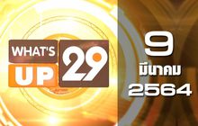 What’s up 29 09-03-64