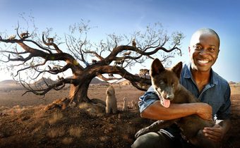 Dogs: An Amazing Animal Family สำรวจถิ่นเจ้าเพื่อนยาก