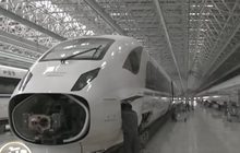 จีนใช้เวลา 5 ปี พัฒนารถไฟความเร็วสูง