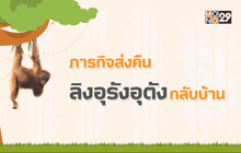 Good Morning Thailand 14-11-58