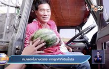 เหมาแตงโมเกษตรกร แจกลูกค้าที่เติมน้ำมัน