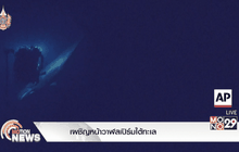 เผชิญหน้าวาฬสเปิร์มใต้ทะเล