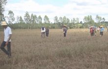 จ่ายชดเชยผู้ได้รับผลกระทบโครงการเขื่อนหัวนา จ.ศรีสะเกษ