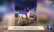 โซเชียลฮา!  หนุ่มขี่ม้าไปดรีมเวิลด์ รับพาสัตว์เลี้ยงมาเข้าฟรี