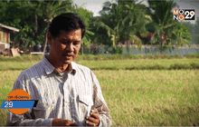 ชาวนาไทยพลิกวิกฤต สู่โอกาส สู้น้ำแล้ง