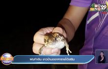 ฝนทำเงิน ชาวบ้านออกหารายได้เสริม
