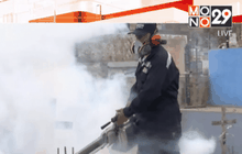 เปรูเพิ่มมาตรการป้องกันไวรัสซิกา